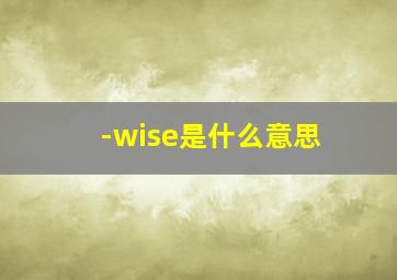 -wise是什么意思