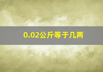 0.02公斤等于几两