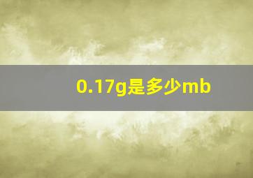 0.17g是多少mb