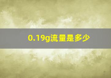 0.19g流量是多少