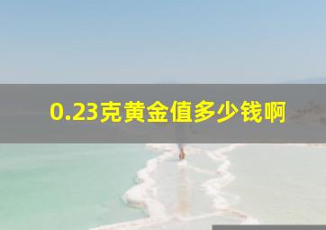 0.23克黄金值多少钱啊