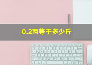 0.2两等于多少斤