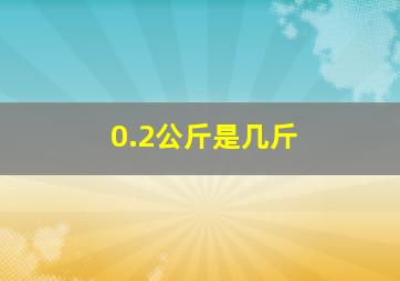 0.2公斤是几斤