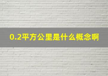 0.2平方公里是什么概念啊