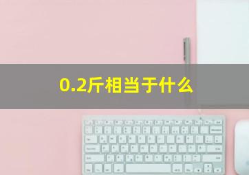 0.2斤相当于什么