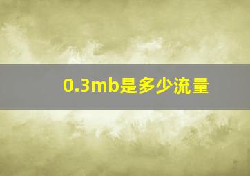 0.3mb是多少流量