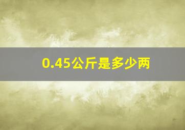 0.45公斤是多少两