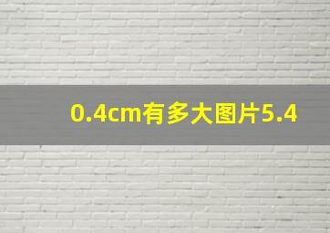 0.4cm有多大图片5.4