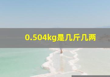 0.504kg是几斤几两