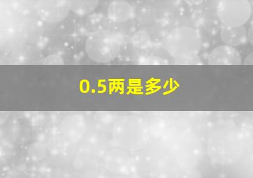 0.5两是多少