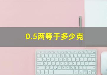 0.5两等于多少克