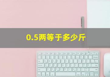 0.5两等于多少斤