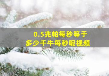 0.5兆帕每秒等于多少千牛每秒呢视频