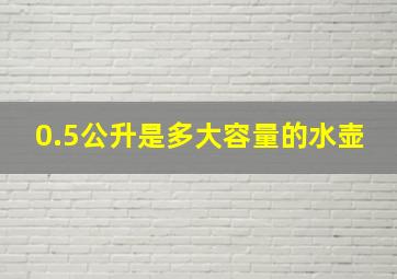 0.5公升是多大容量的水壶