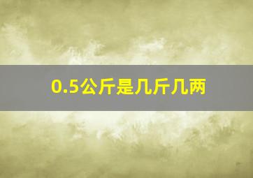 0.5公斤是几斤几两