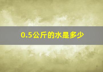 0.5公斤的水是多少