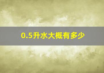 0.5升水大概有多少