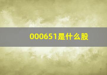 000651是什么股