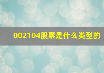 002104股票是什么类型的