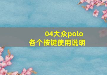 04大众polo各个按键使用说明