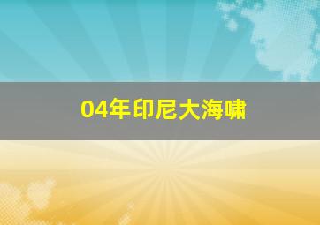 04年印尼大海啸