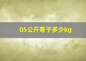 05公斤等于多少kg