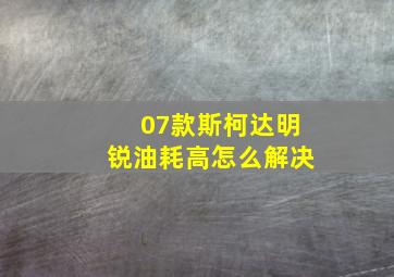 07款斯柯达明锐油耗高怎么解决