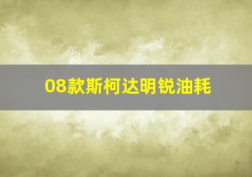 08款斯柯达明锐油耗