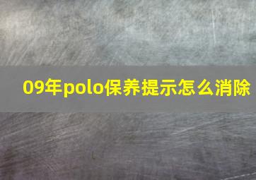 09年polo保养提示怎么消除