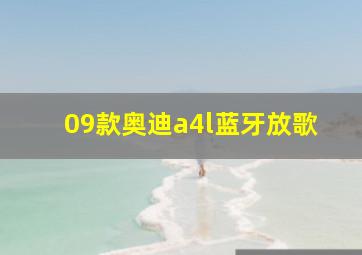 09款奥迪a4l蓝牙放歌