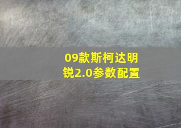 09款斯柯达明锐2.0参数配置