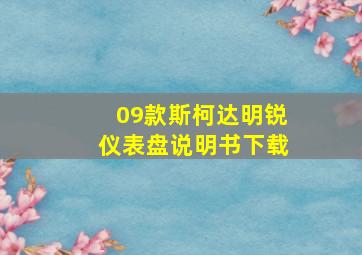 09款斯柯达明锐仪表盘说明书下载