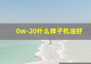 0w-20什么牌子机油好