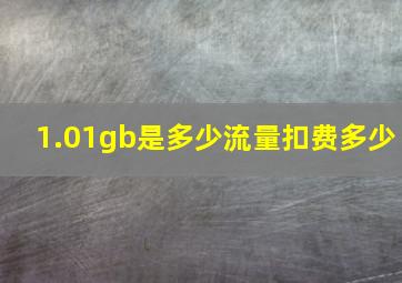 1.01gb是多少流量扣费多少