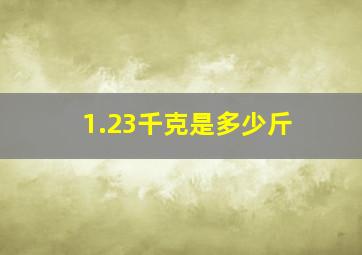 1.23千克是多少斤