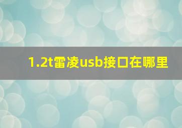 1.2t雷凌usb接口在哪里