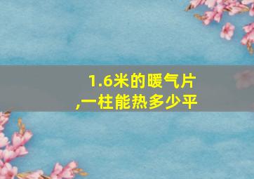 1.6米的暖气片,一柱能热多少平