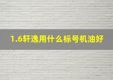 1.6轩逸用什么标号机油好