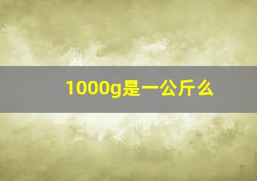 1000g是一公斤么