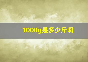 1000g是多少斤啊