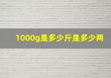 1000g是多少斤是多少两