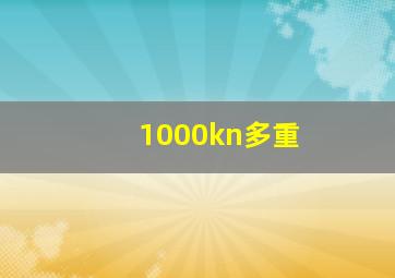 1000kn多重