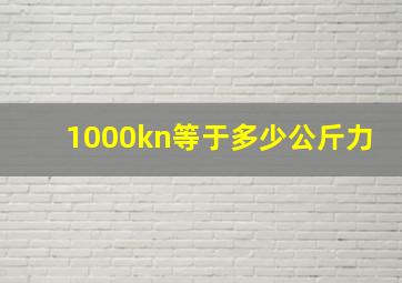 1000kn等于多少公斤力