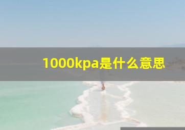 1000kpa是什么意思