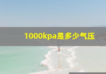 1000kpa是多少气压