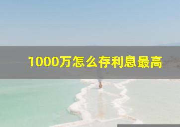 1000万怎么存利息最高