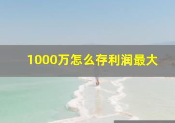 1000万怎么存利润最大