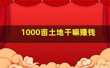 1000亩土地干嘛赚钱