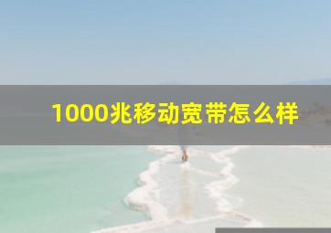 1000兆移动宽带怎么样