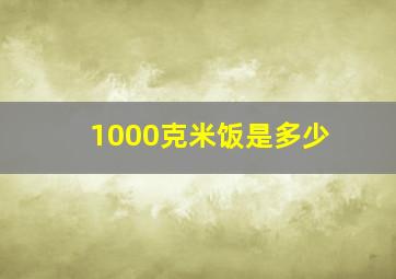 1000克米饭是多少